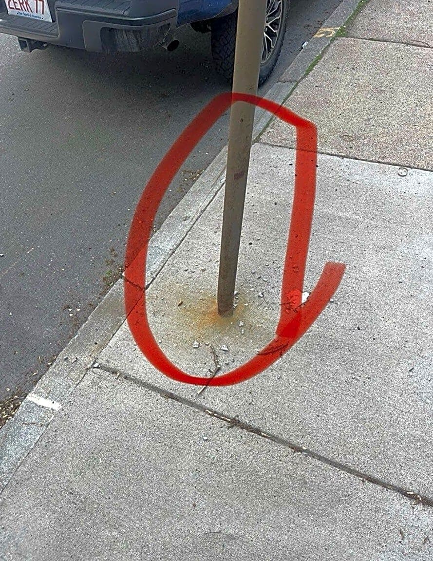 Image submitted with report