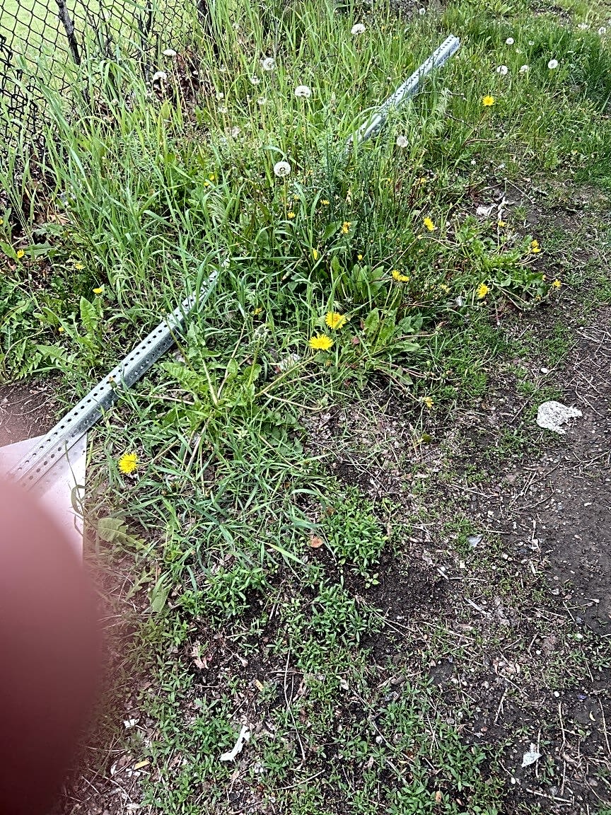 Image submitted with report