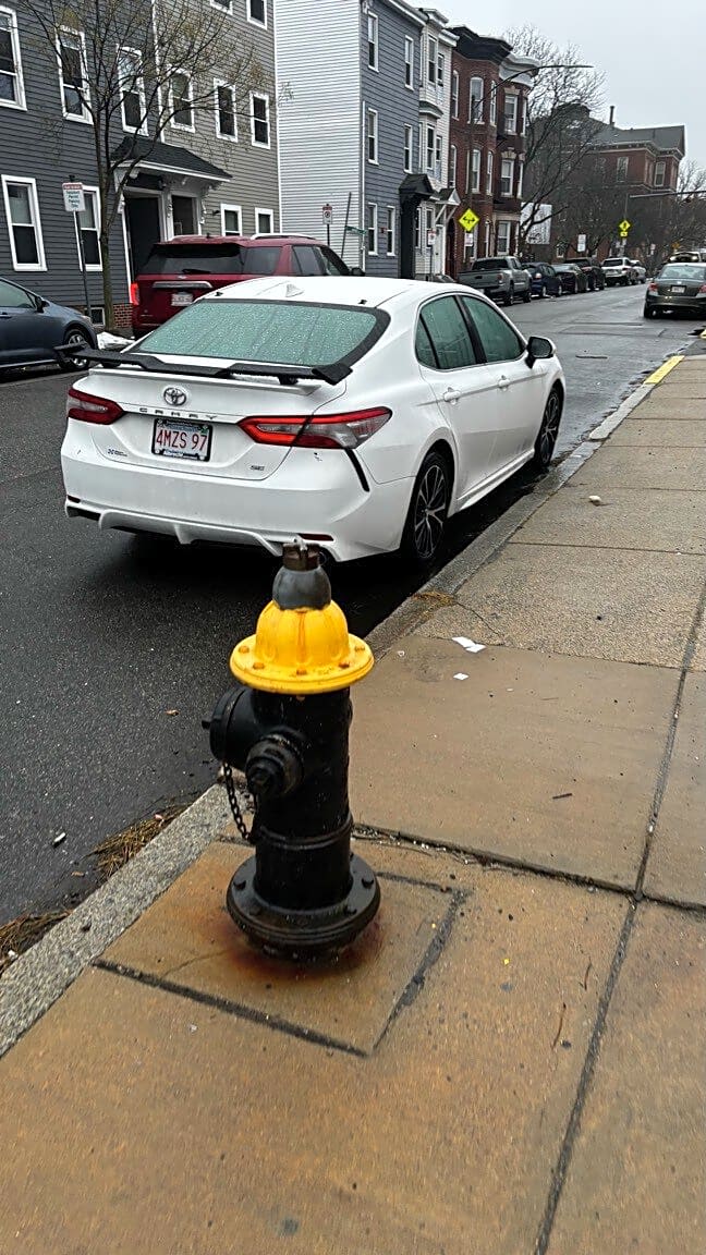 Image submitted with report