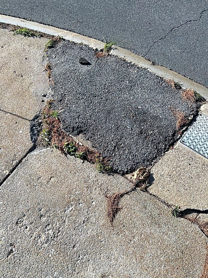 Image submitted with report