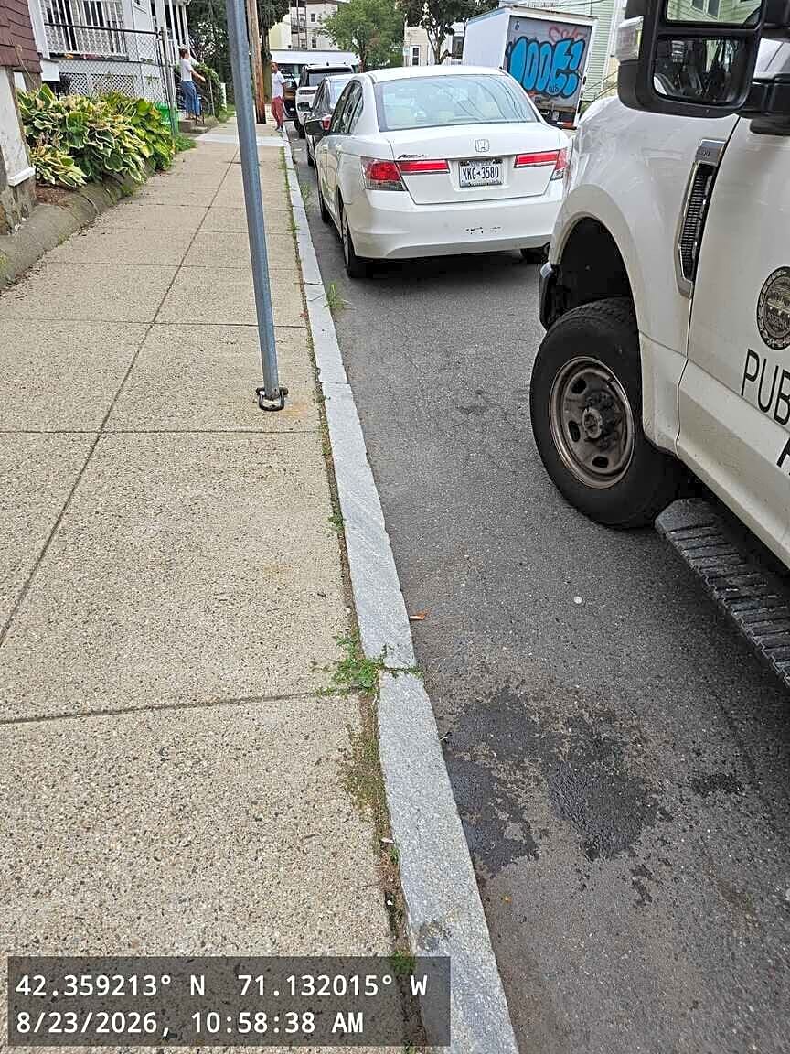 Image submitted with report