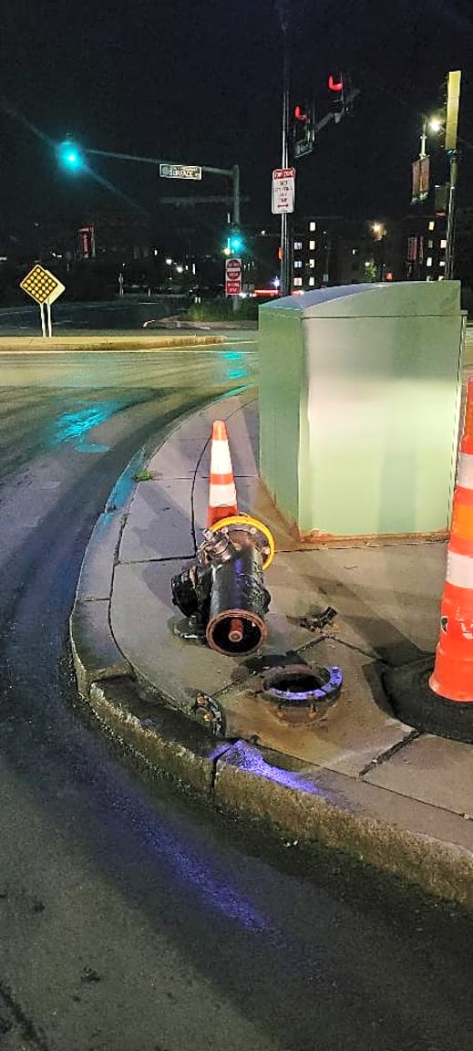 Image submitted with report