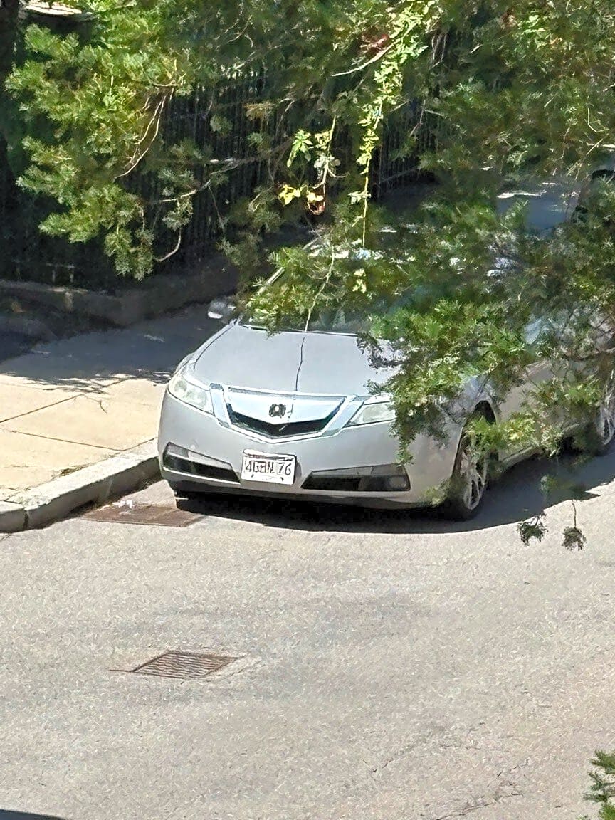 Image submitted with report