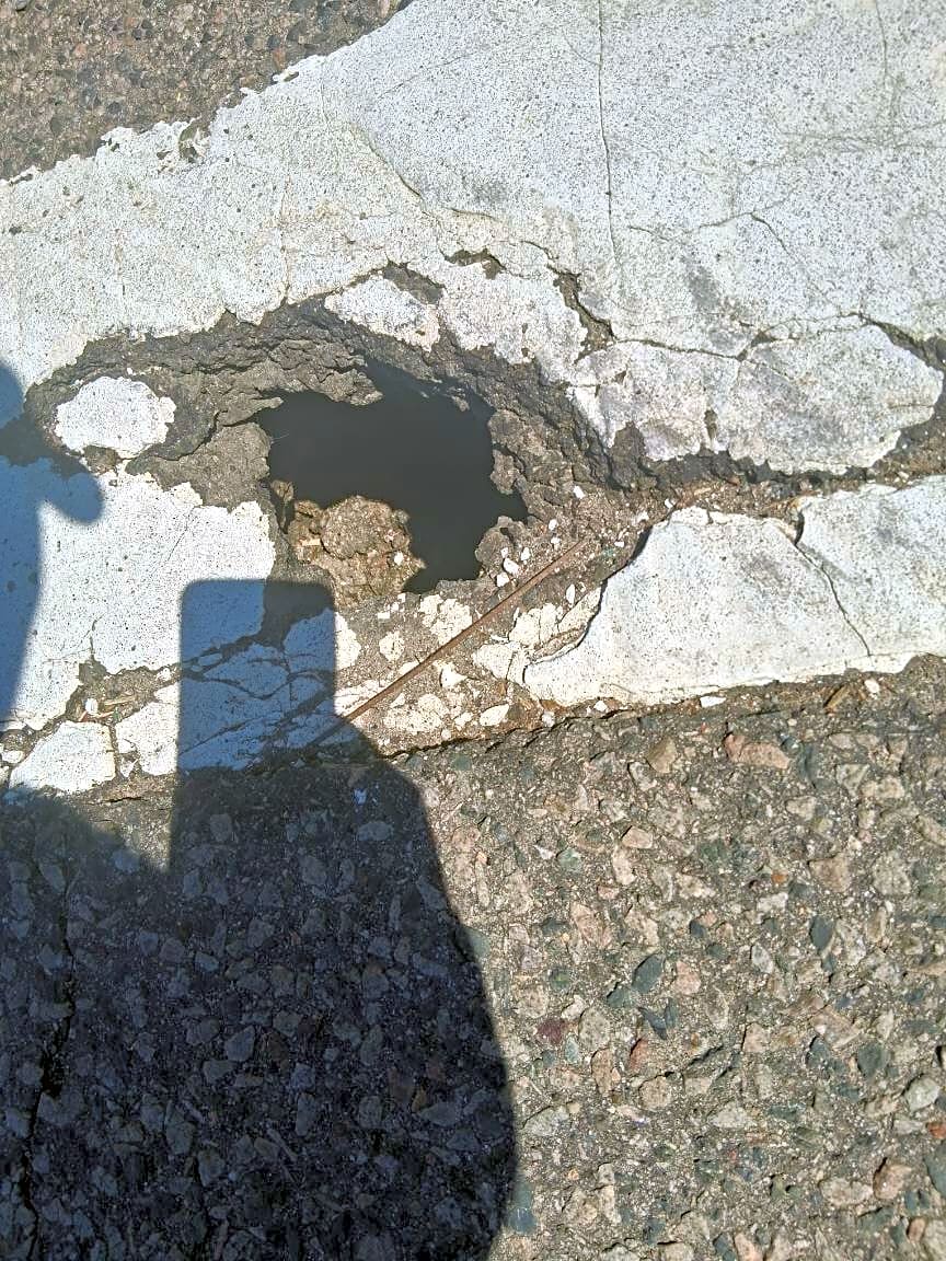 Image submitted with report