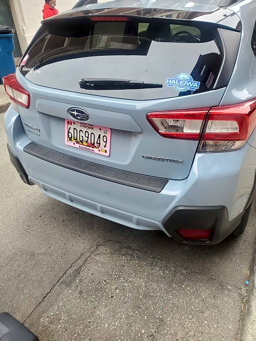 Image submitted with report