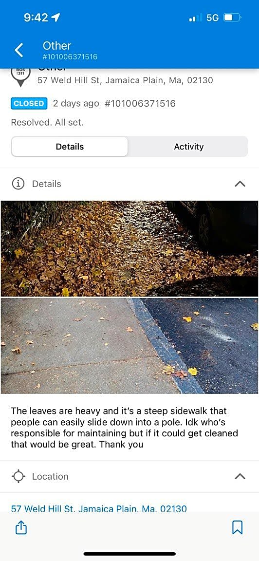 Image submitted with report