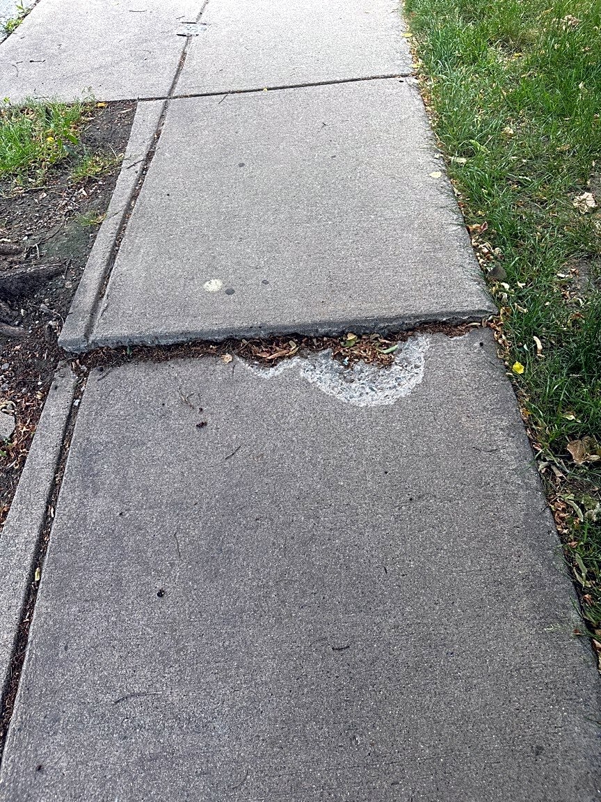 Image submitted with report