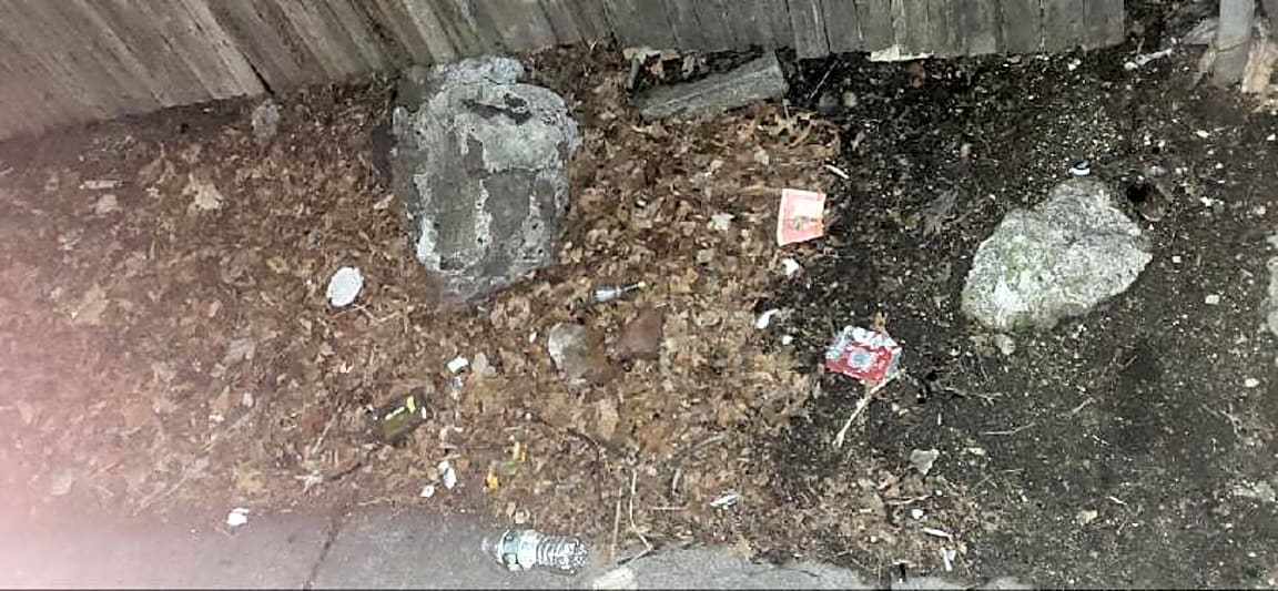 Image submitted with report