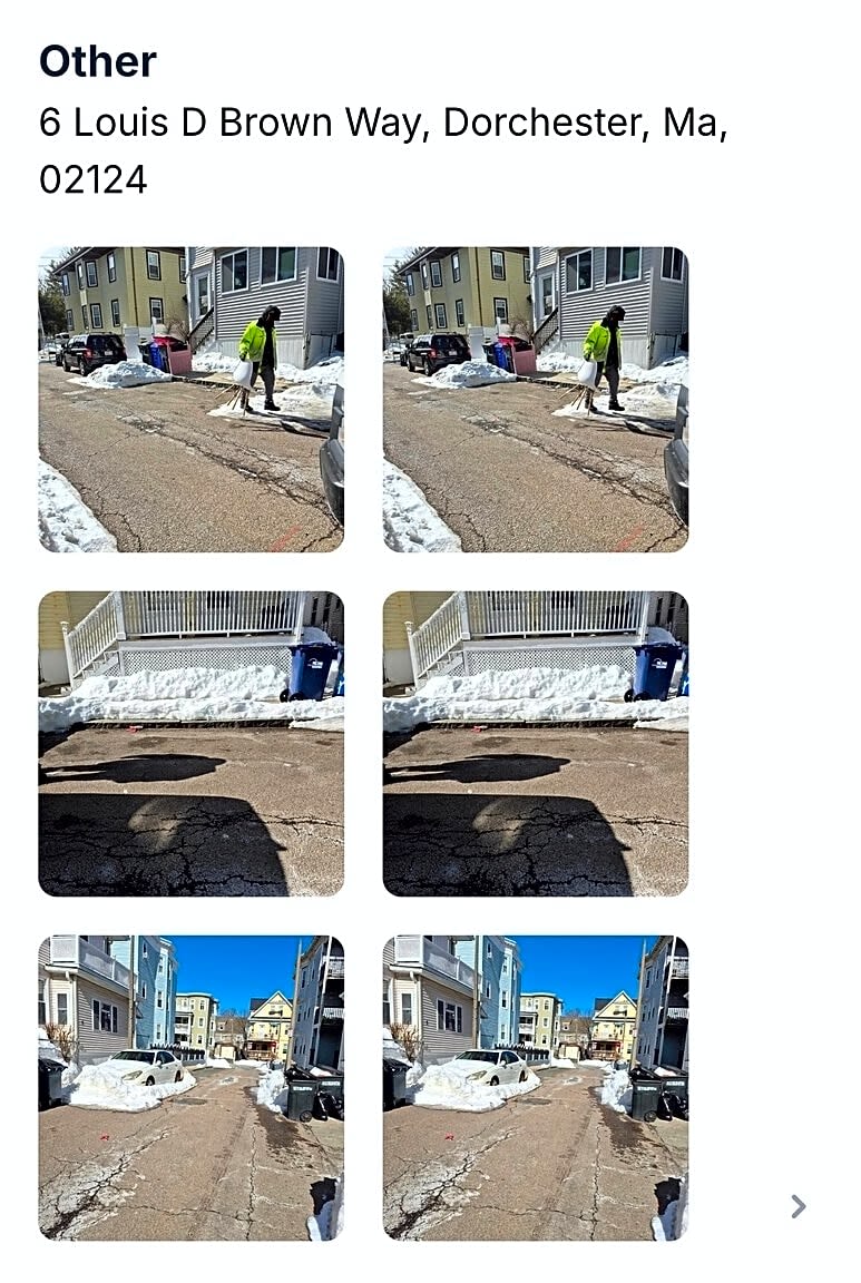 Image submitted with report