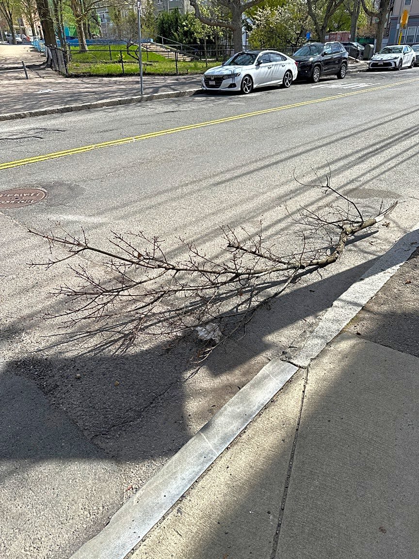 Image submitted with report