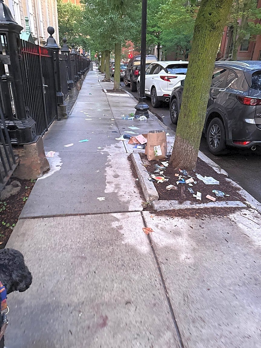 Image submitted with report