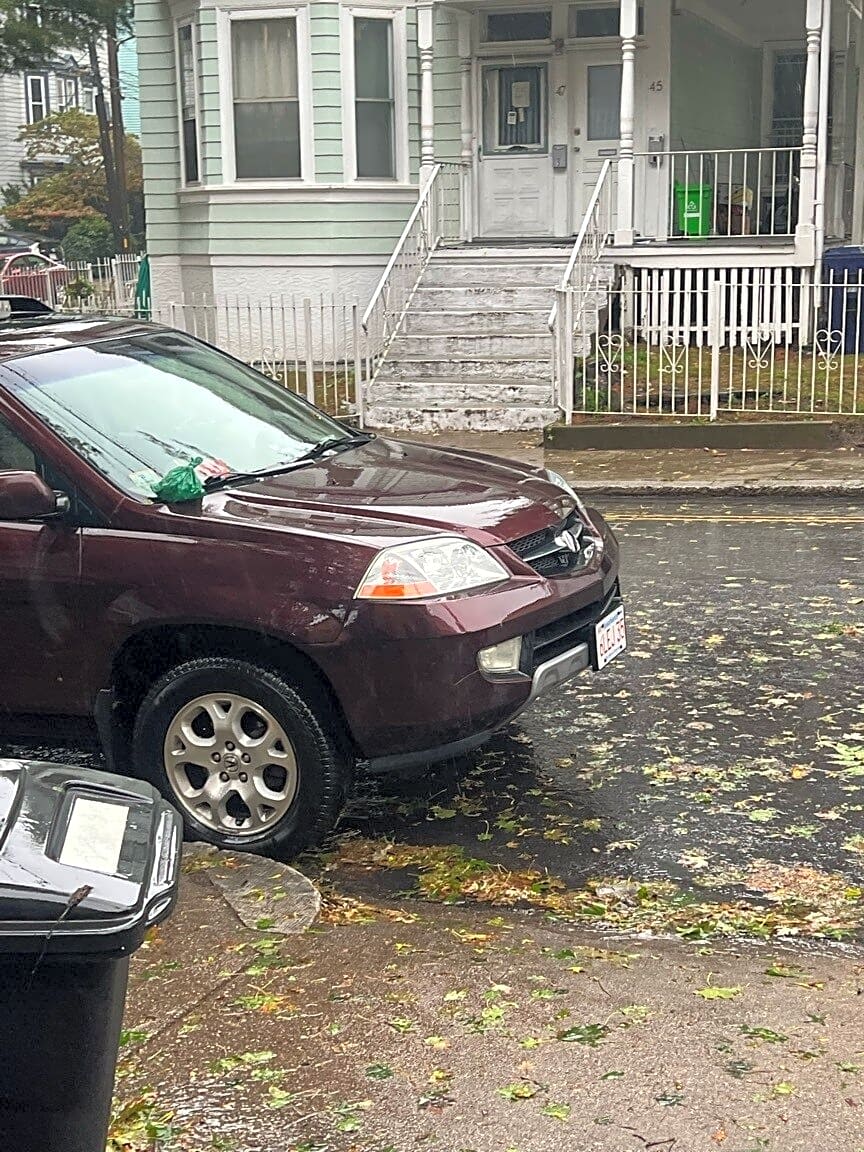 Image submitted with report