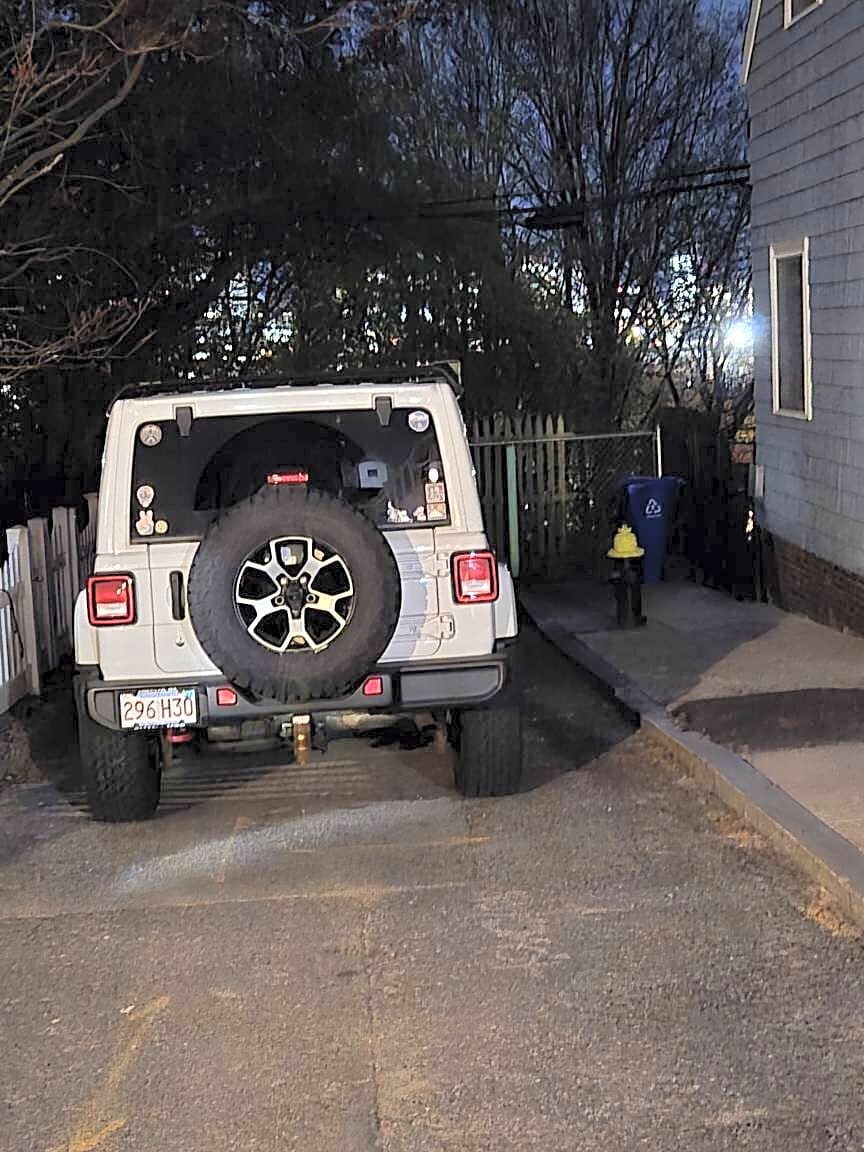 Image submitted with report