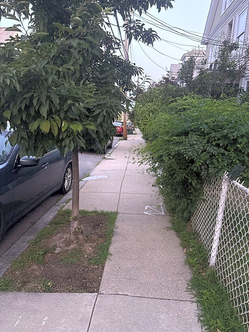 Image submitted with report