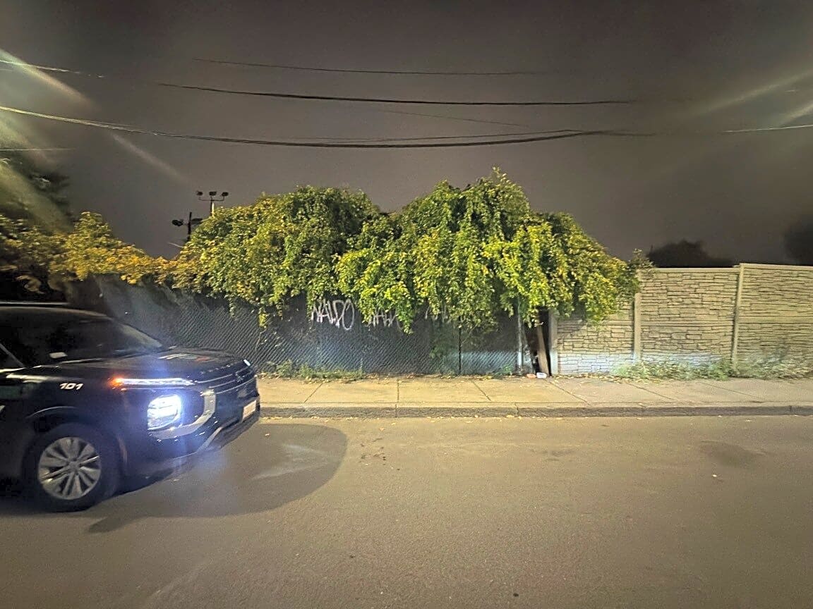 Image submitted with report