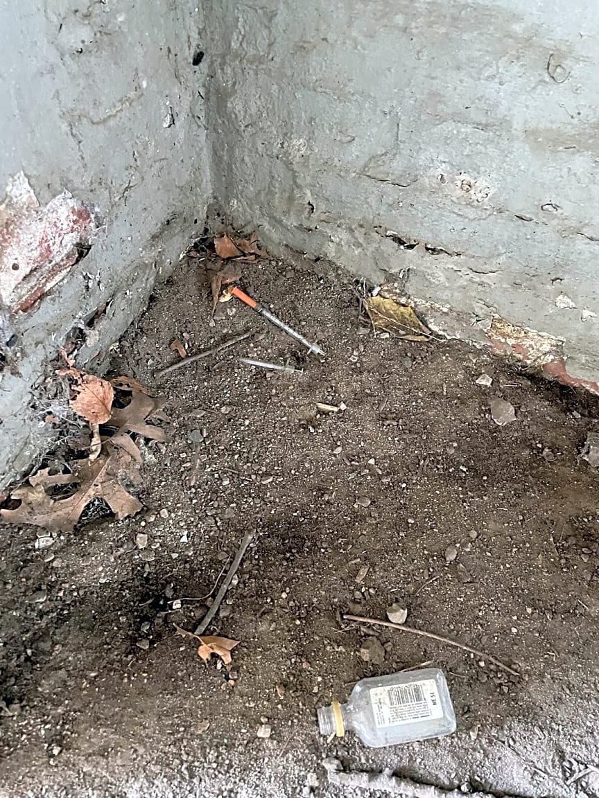 Image submitted with report