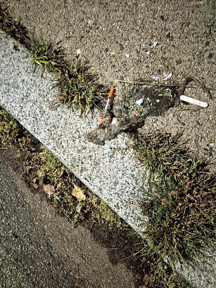 Image submitted with report