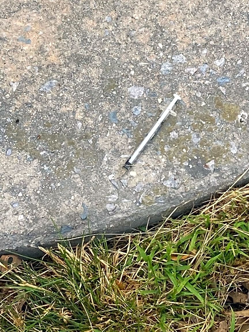 Image submitted with report