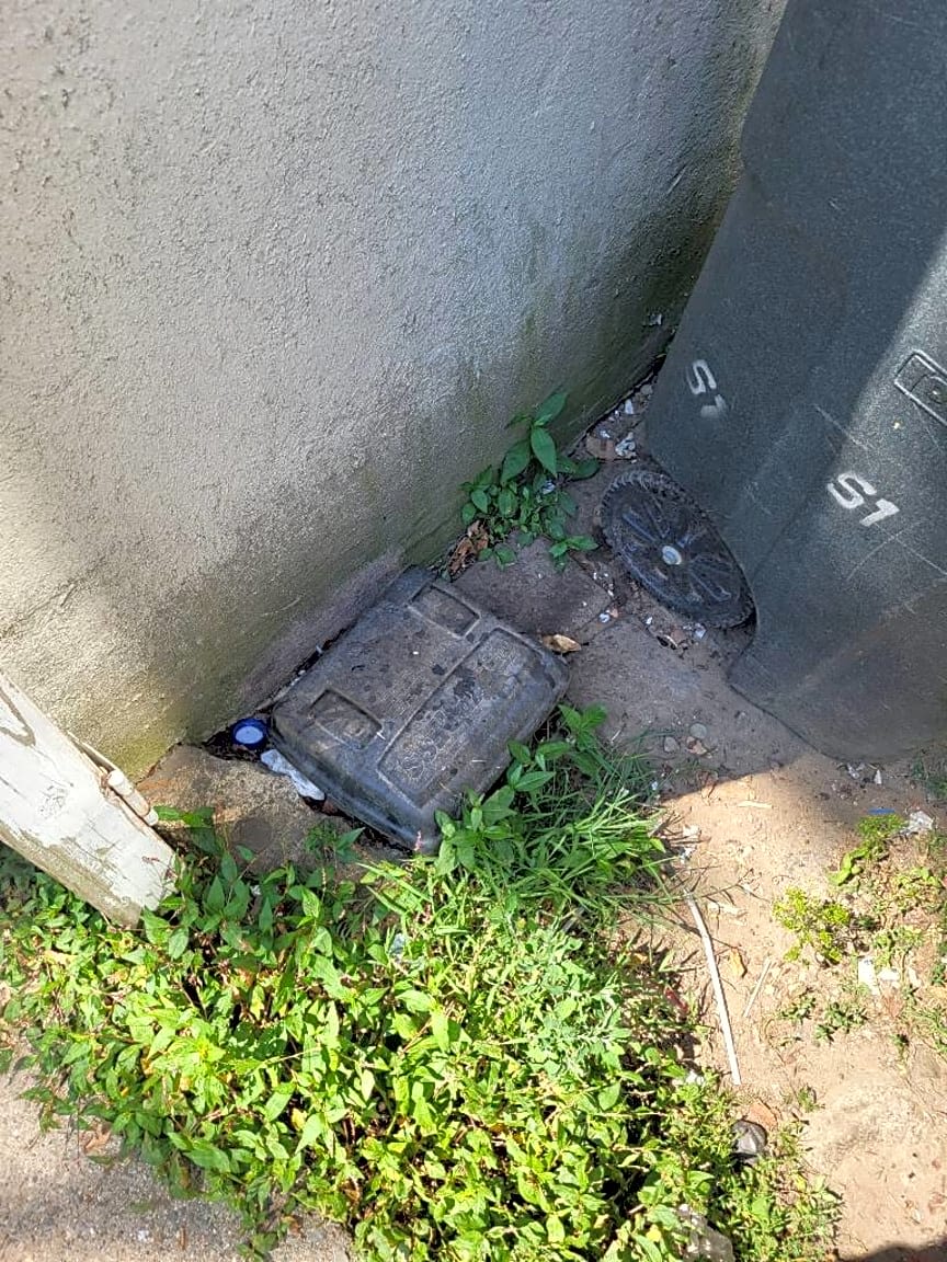 Image submitted with report