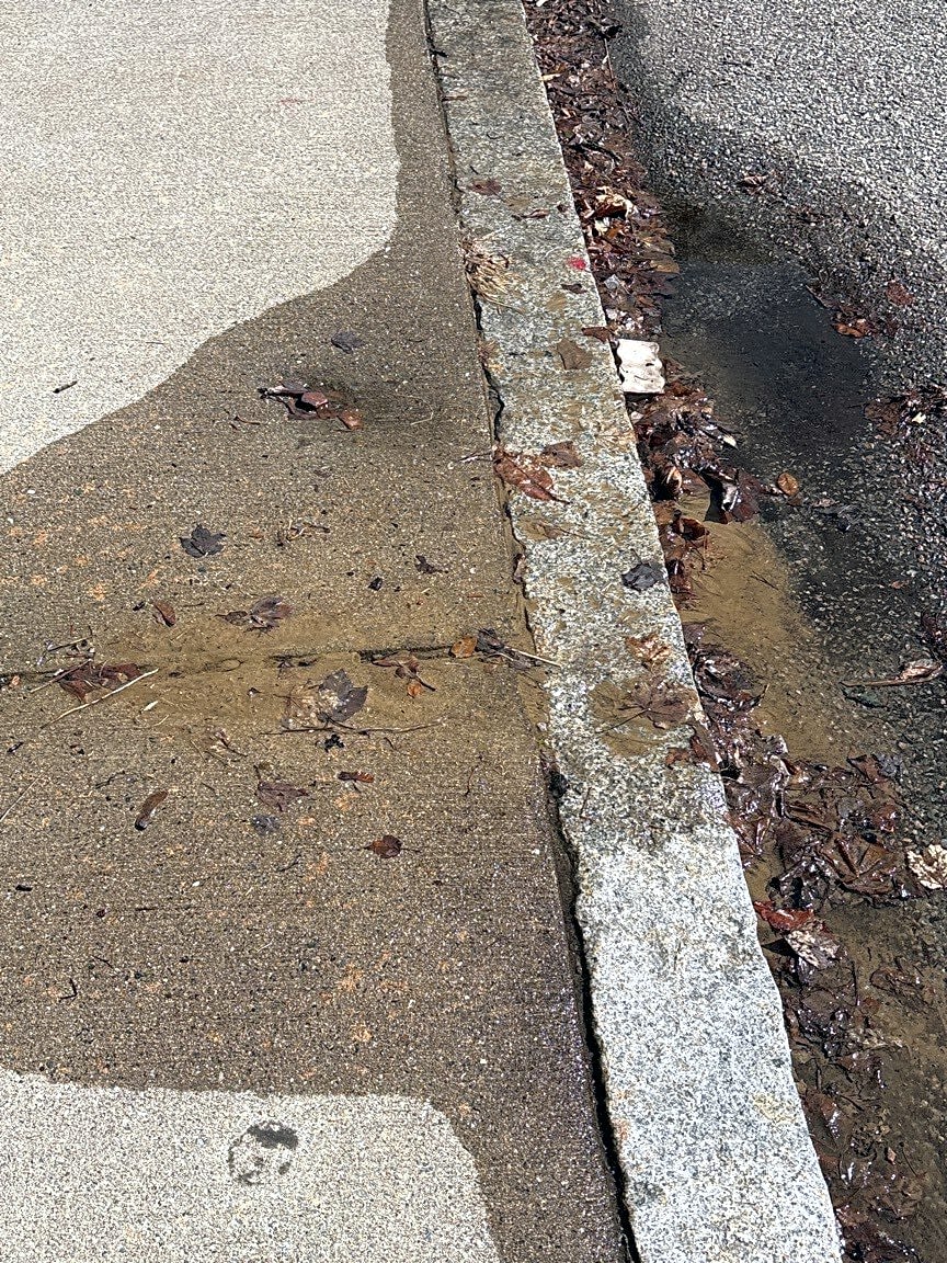 Image submitted with report