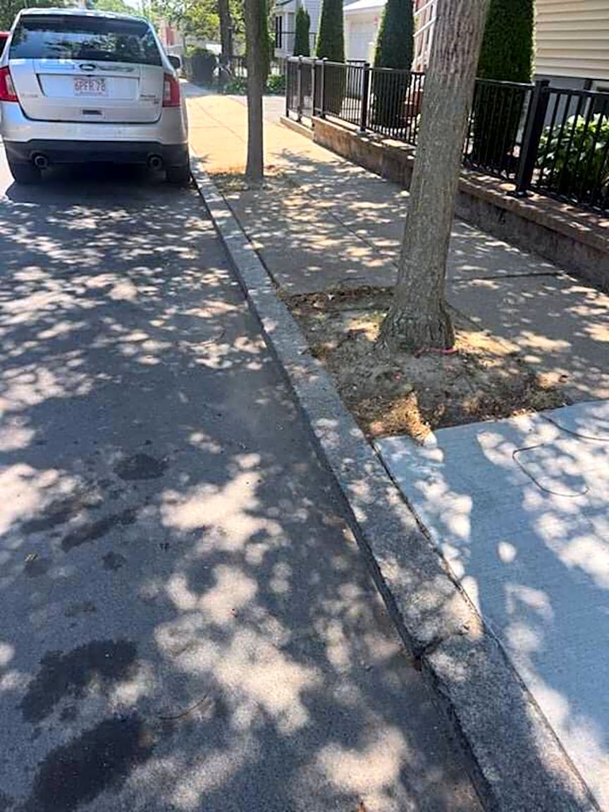 Image submitted with report