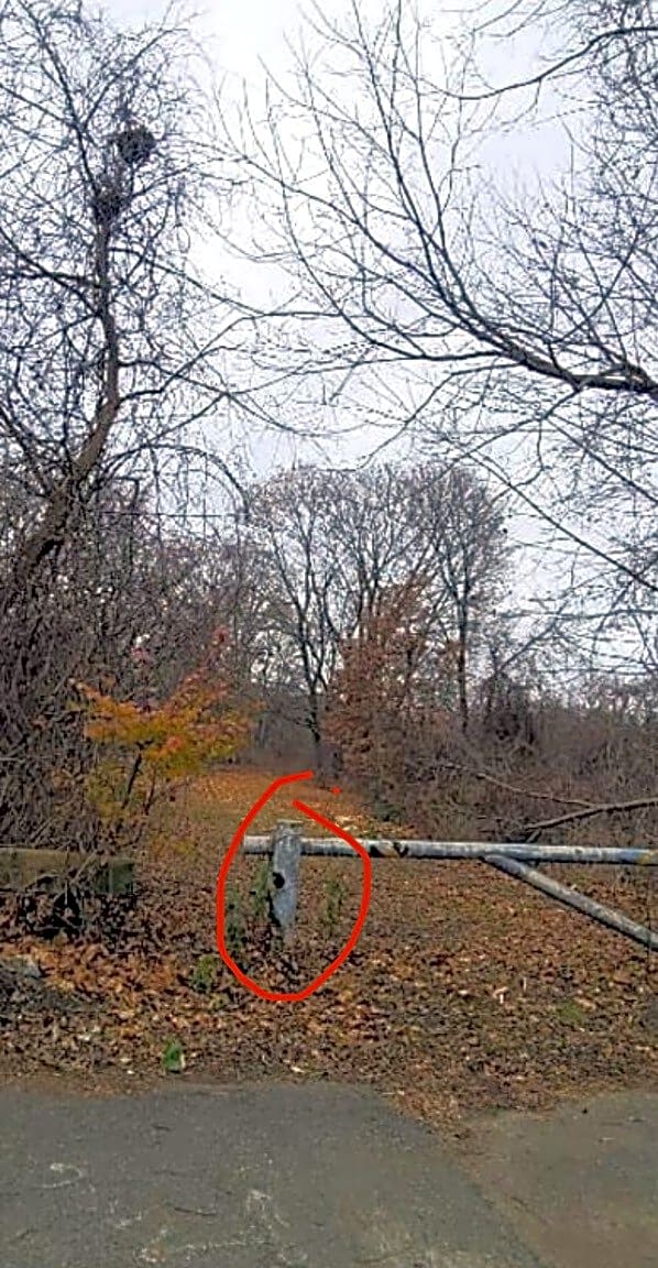 Image submitted with report