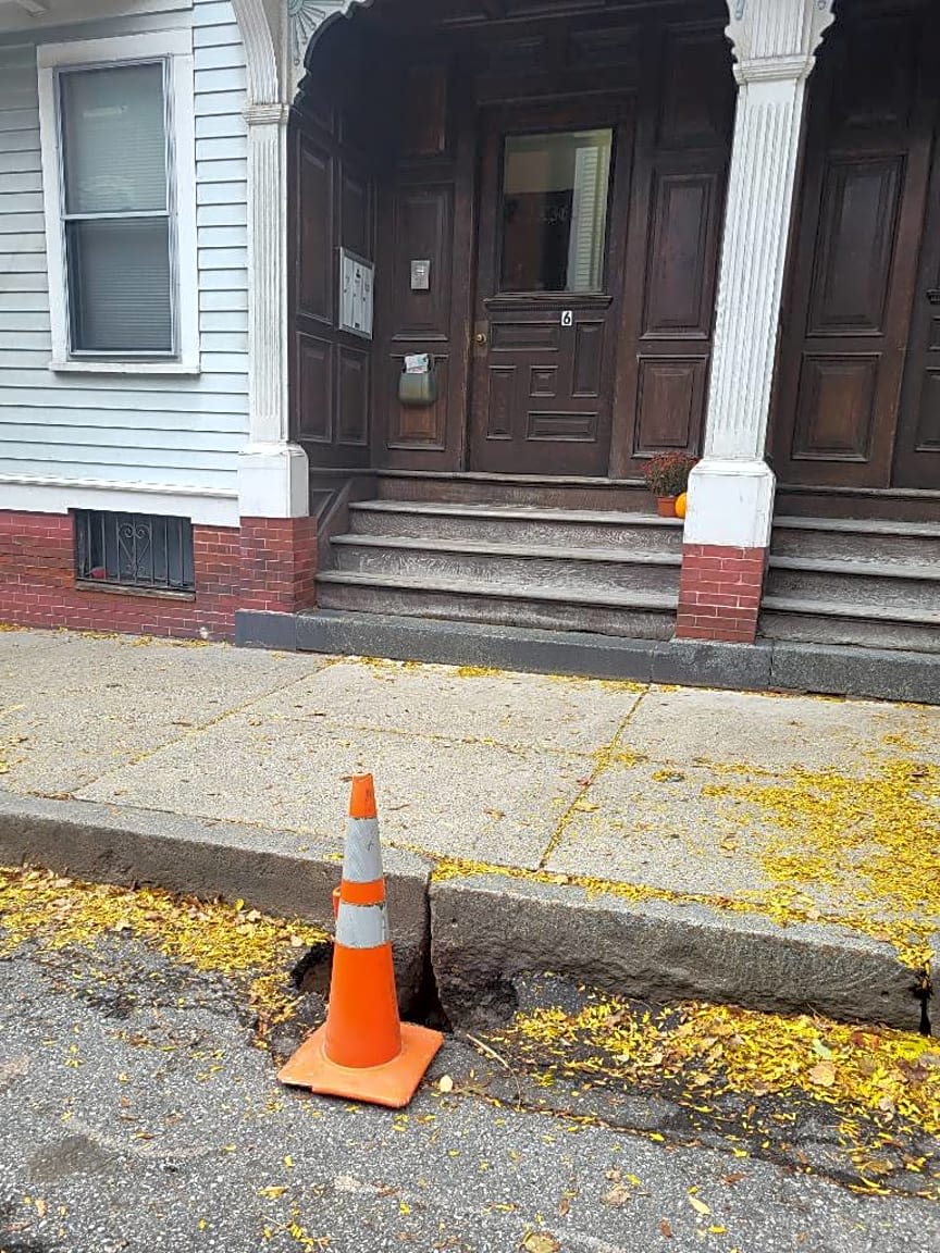 Image submitted with report