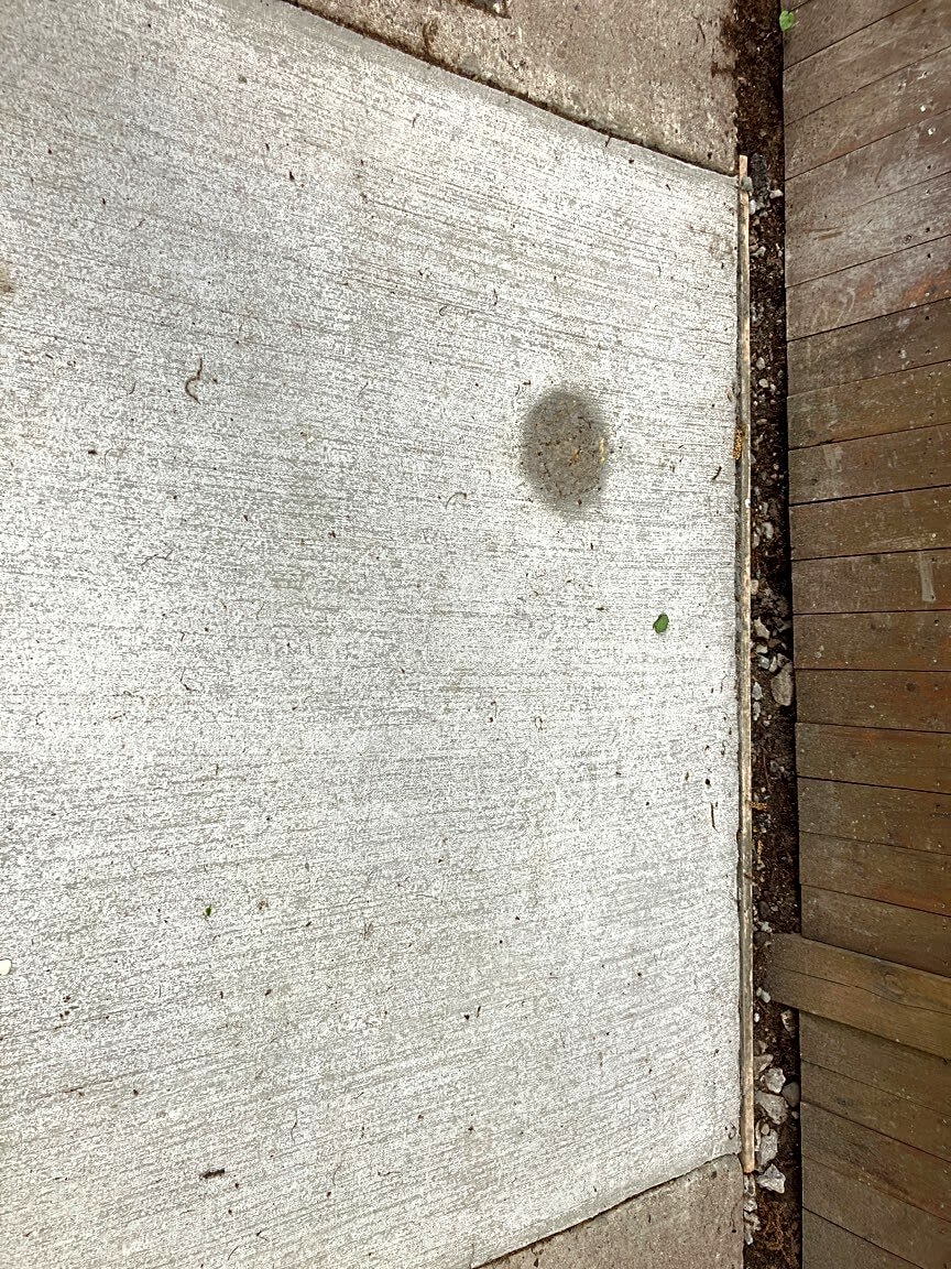 Image submitted with report