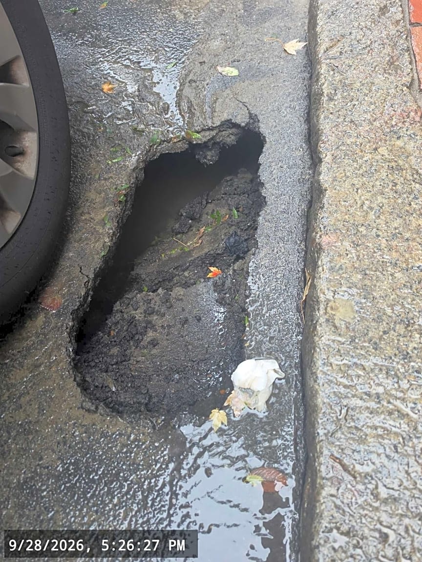 Image submitted with report