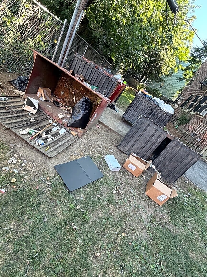 Image submitted with report