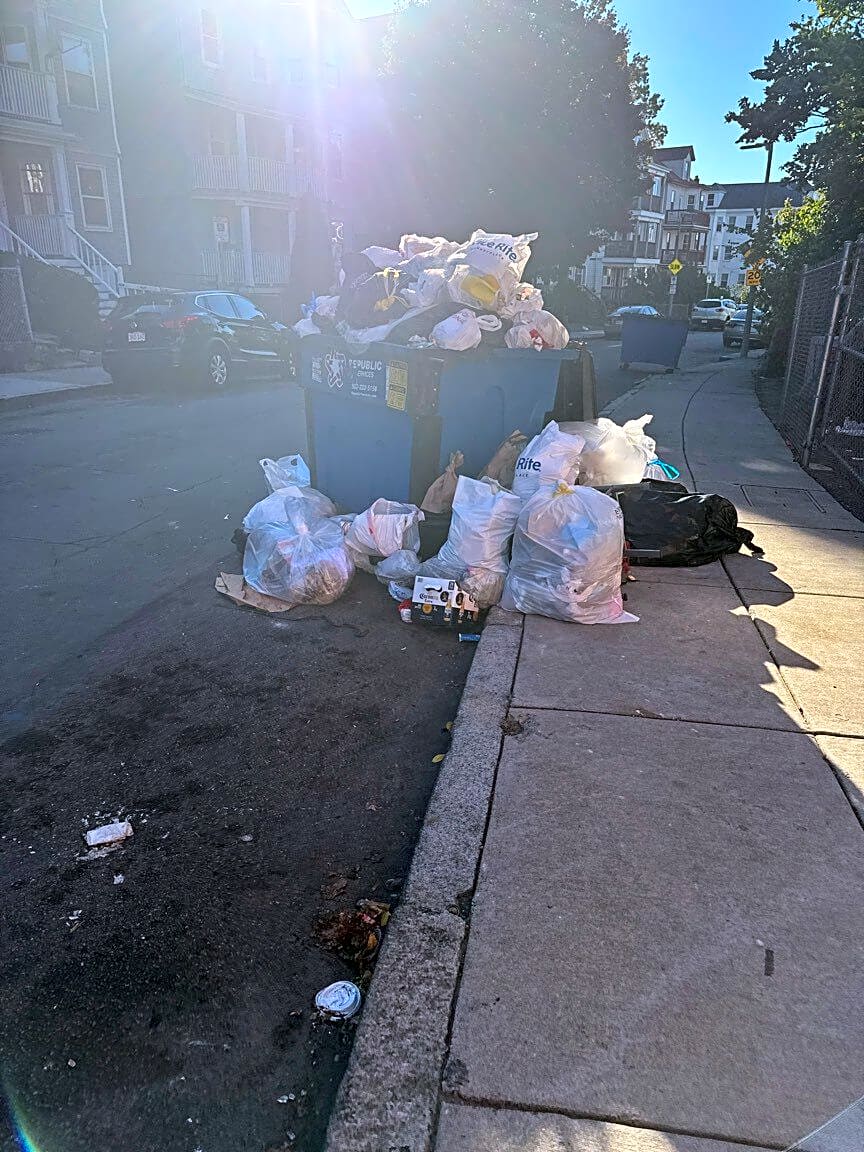 Image submitted with report