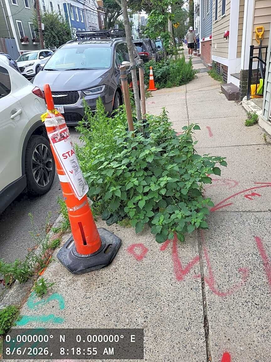 Image submitted with report