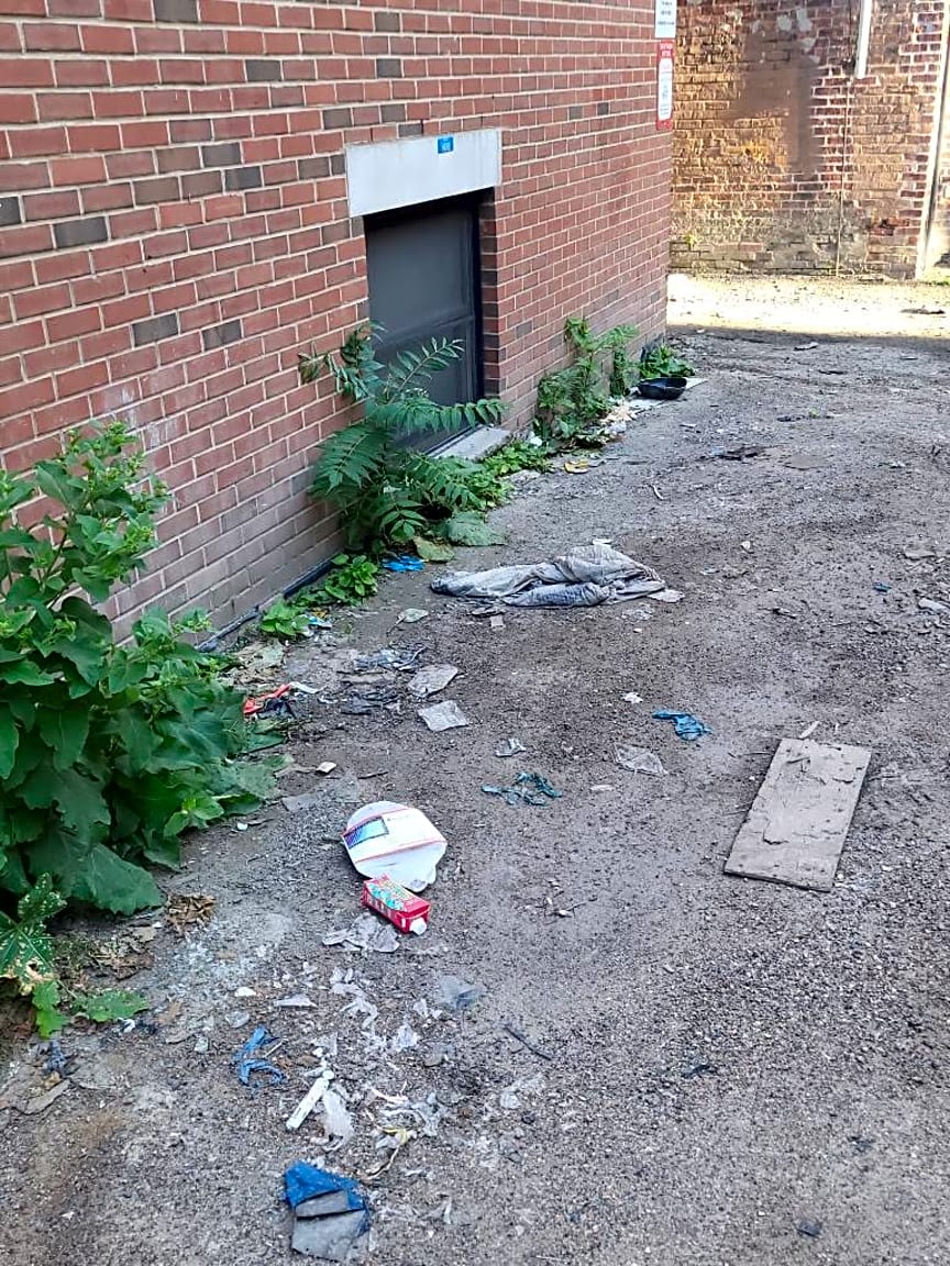 Image submitted with report
