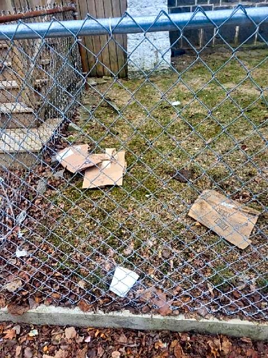 Image submitted with report