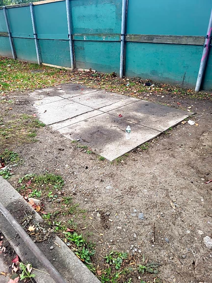 Image submitted with report