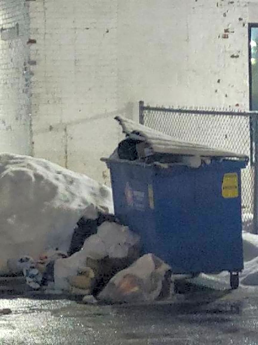 Image submitted with report