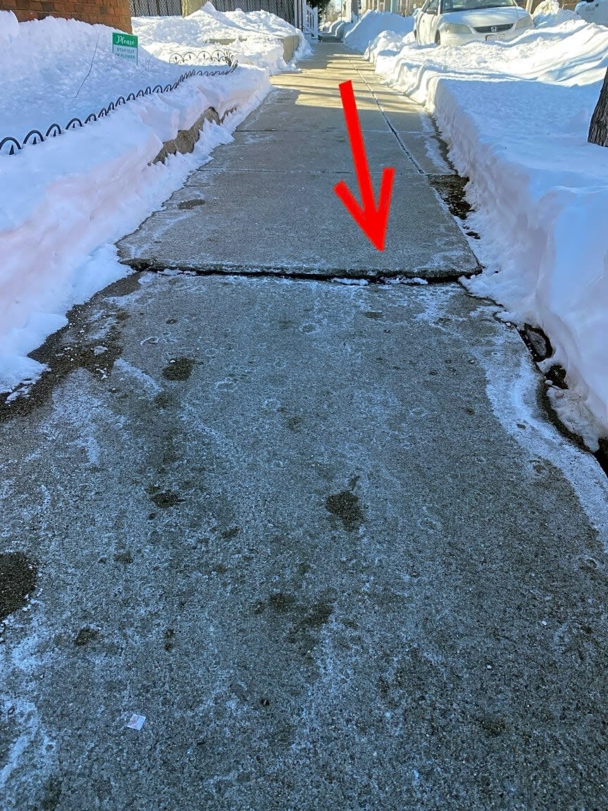 Image submitted with report