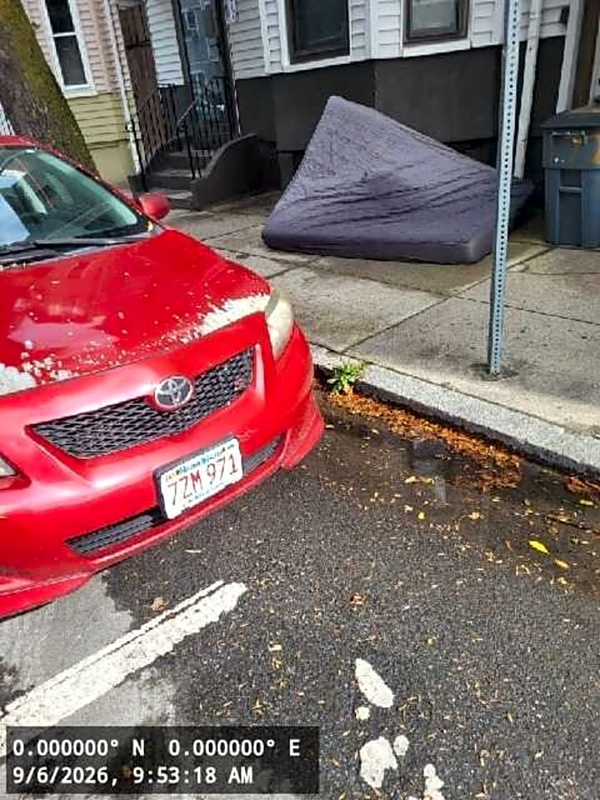 Image submitted with report