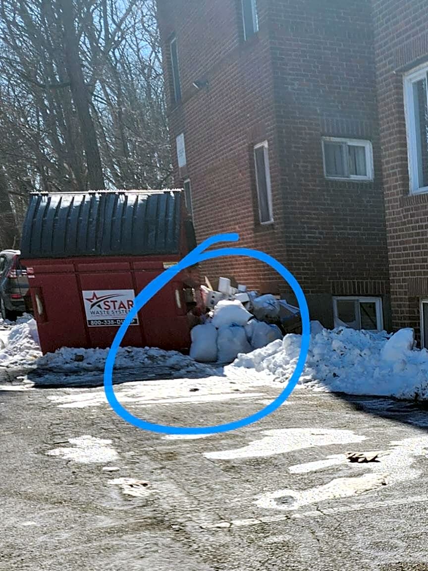 Image submitted with report