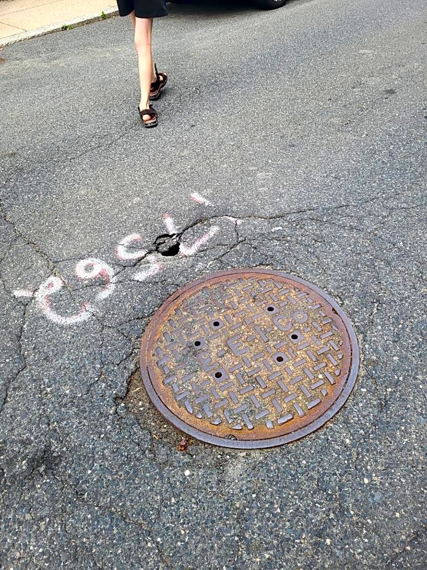 Image submitted with report
