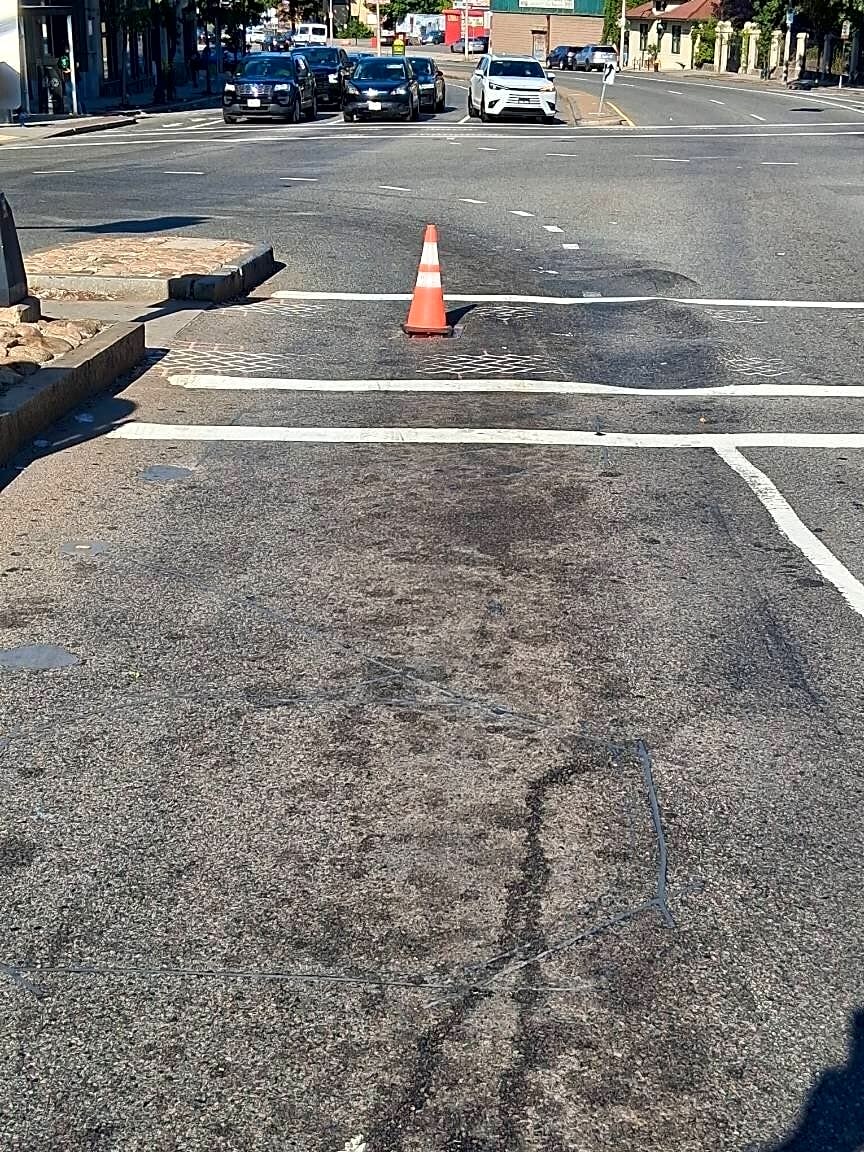 Image submitted with report