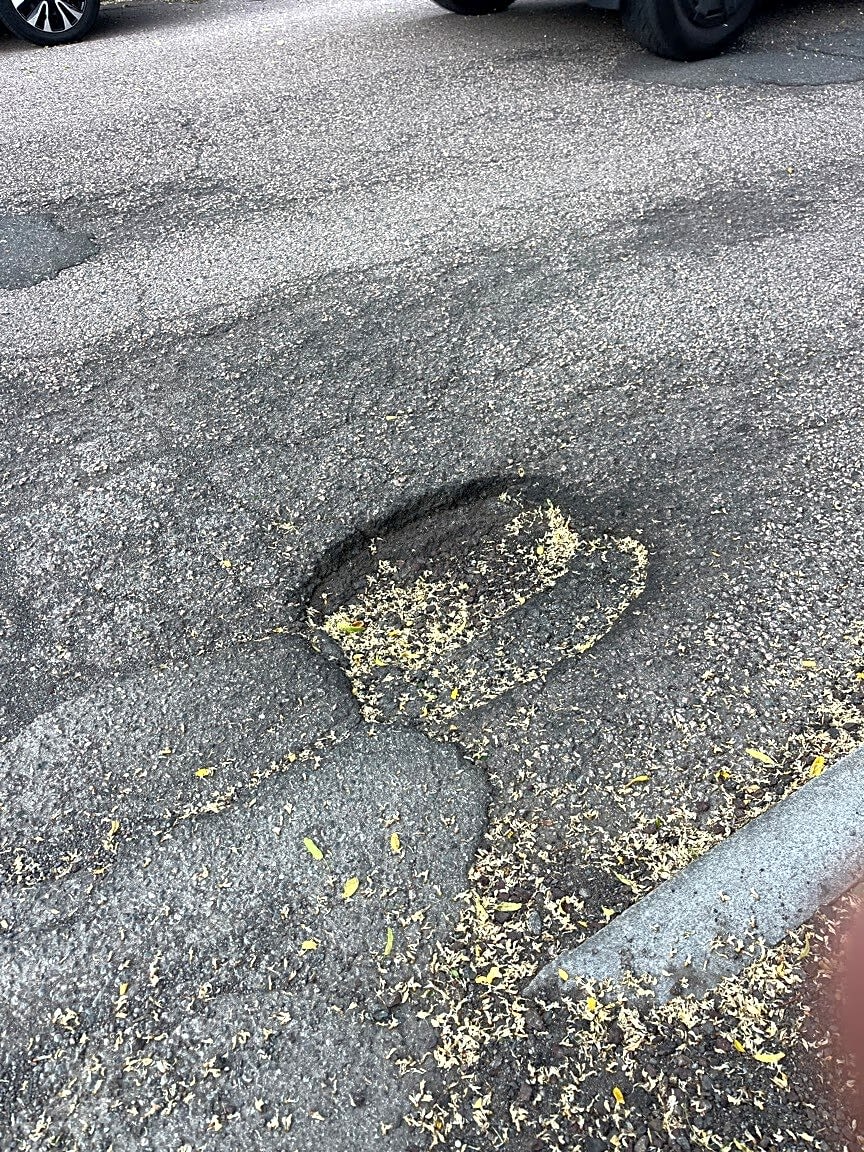 Image submitted with report