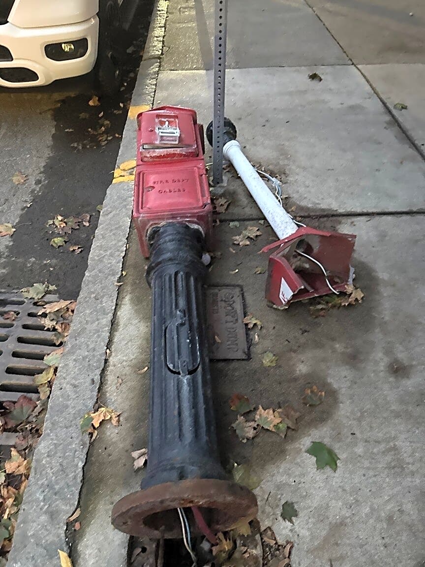 Image submitted with report