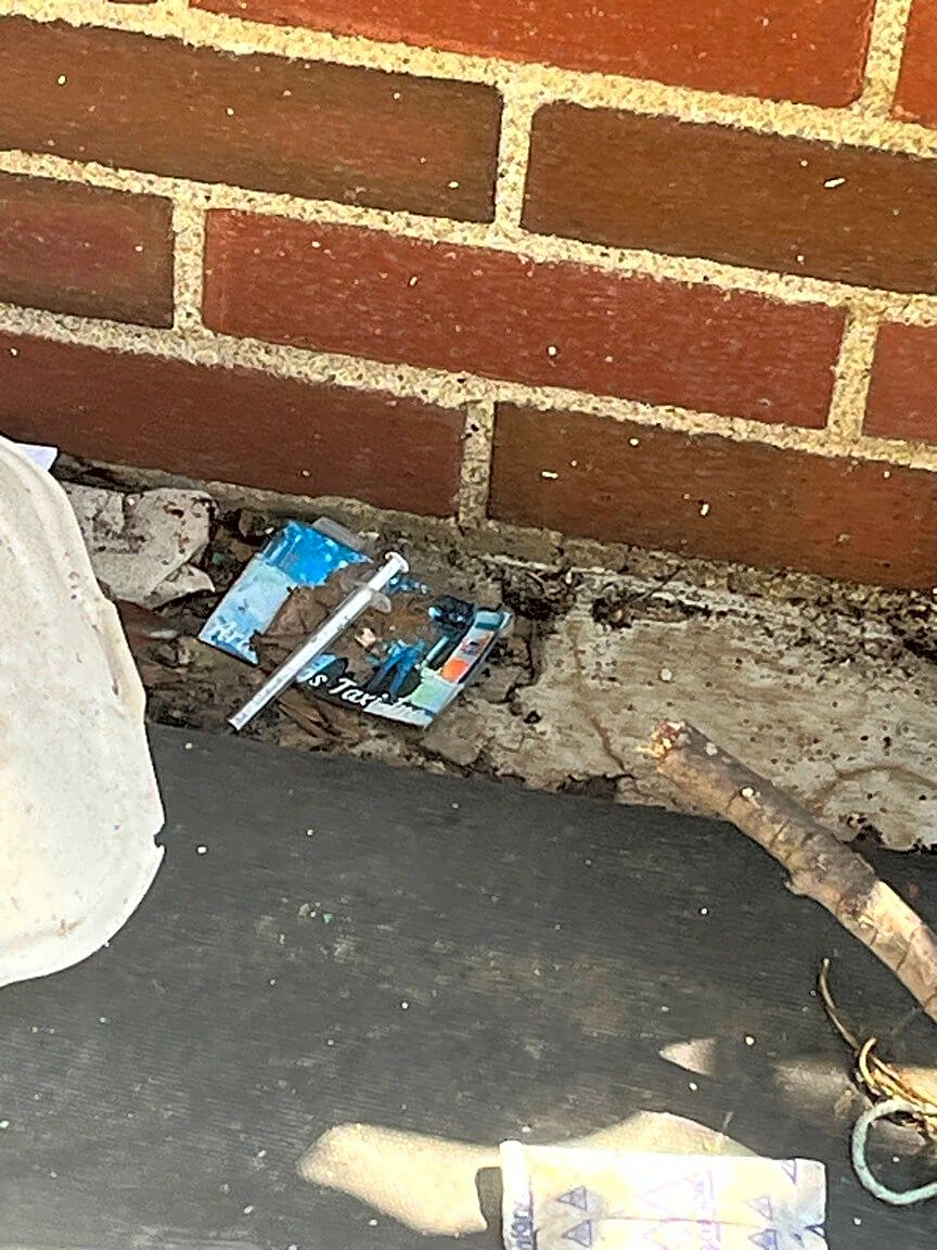 Image submitted with report