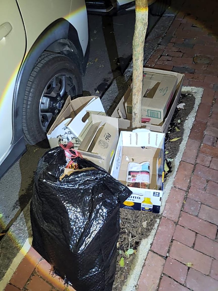 Image submitted with report