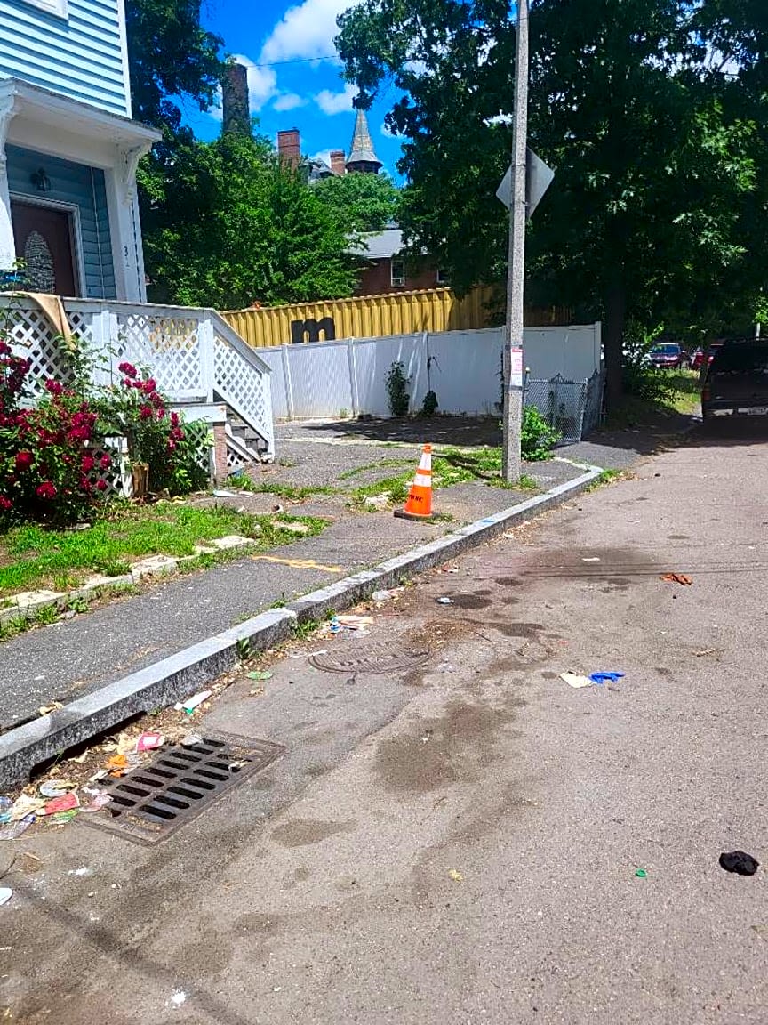 Image submitted with report