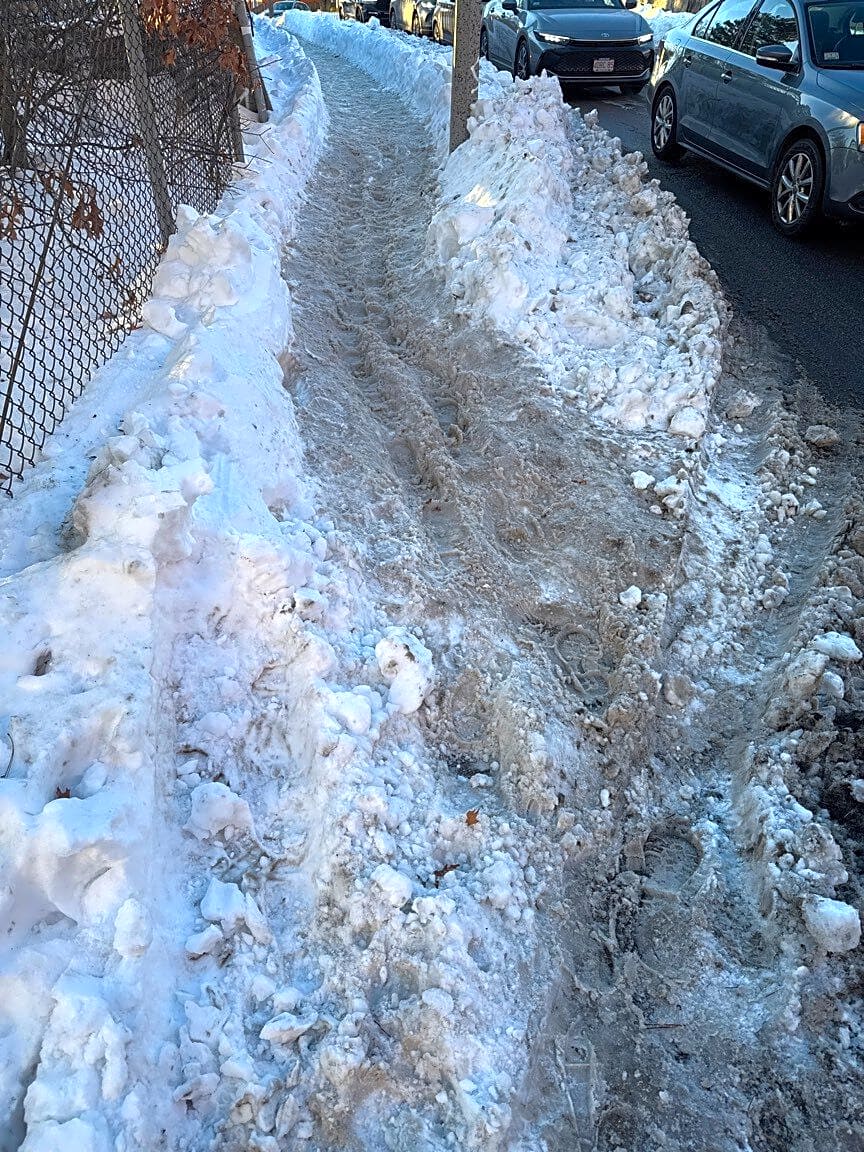 Image submitted with report