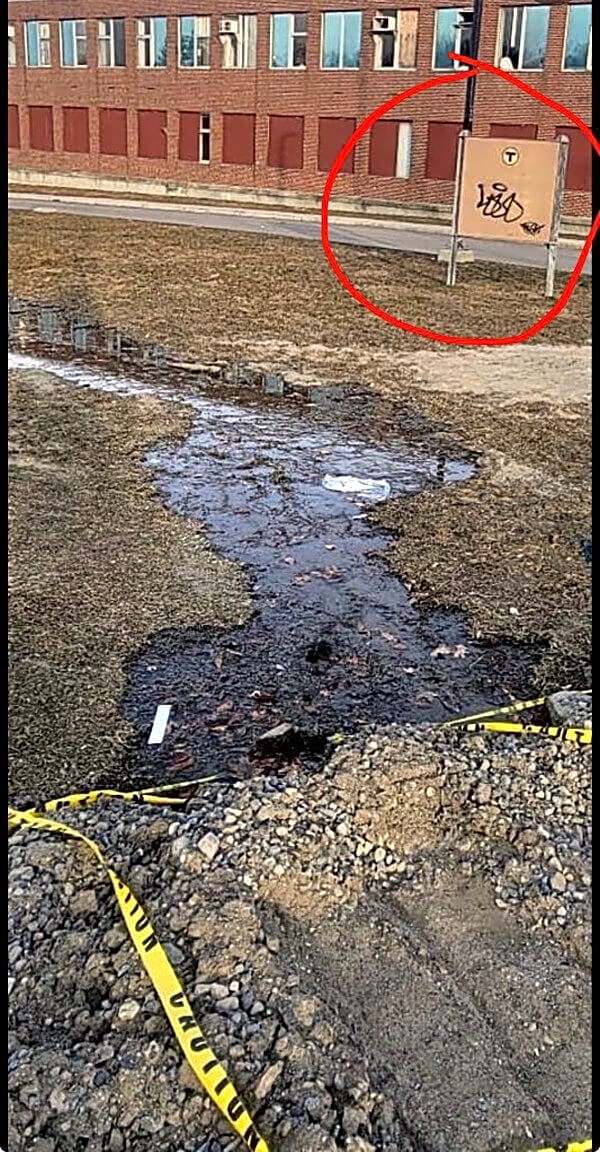 Image submitted with report