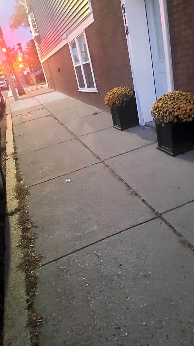 Image submitted with report