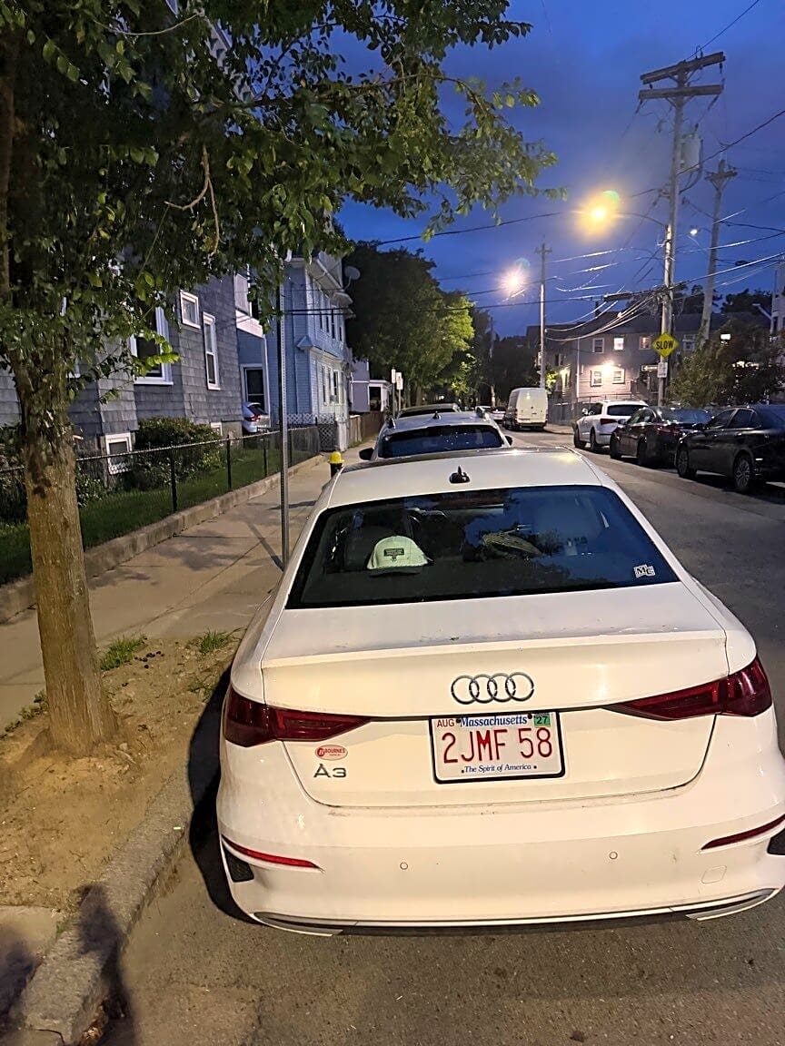 Image submitted with report